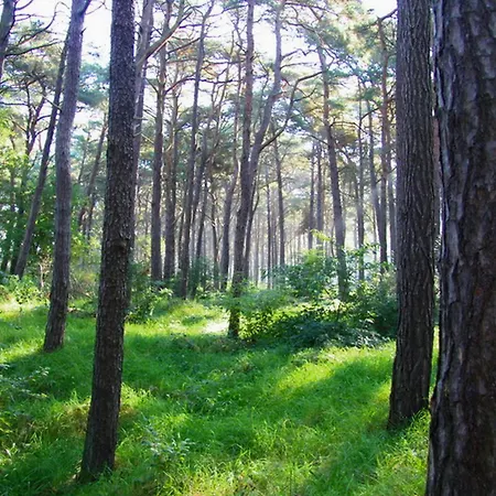 Ruegentraum - Ruegen Nyaraló *